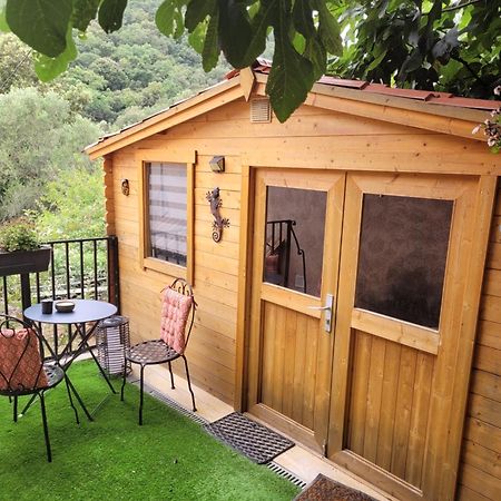 Loue Chalet De 11M2 Auribeau-sur-Siagne Bagian luar foto